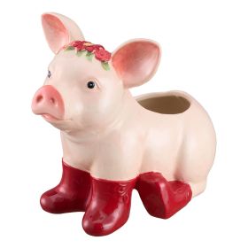 PIG PLANTER goodaaaaaaaaaaaaaaaaaaaaaaaaaaaaaaaaaaaaaaaa